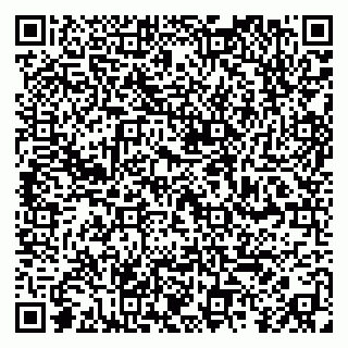 vCard 79410701337