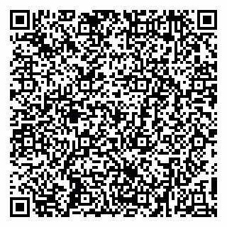vCard 79410701339