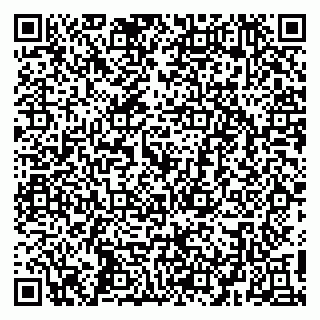 vCard 79410701385