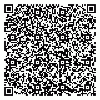vCard 79410800273