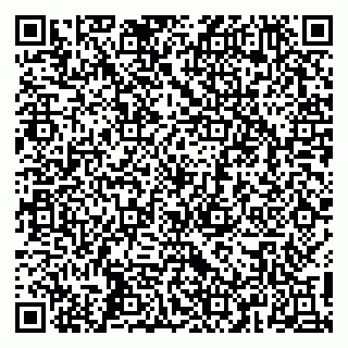 vCard 79411100004