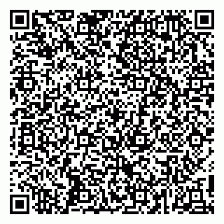 vCard 79411100138