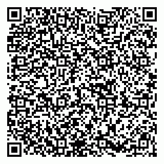 vCard 79413200336