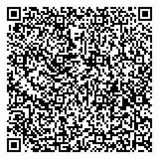 vCard 79415200065