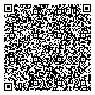 vCard 79415200081