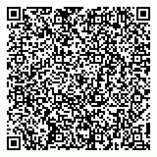 vCard 79415200085
