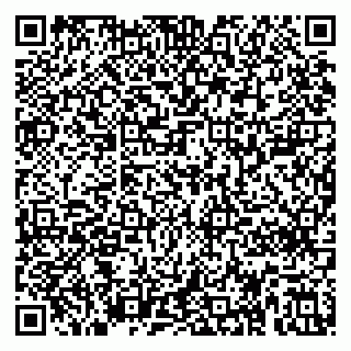 vCard 79415200110