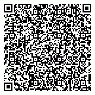 vCard 79415200131