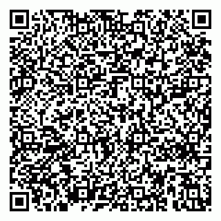 vCard 79415200176
