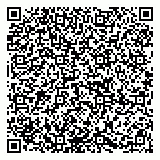 vCard 79415200181
