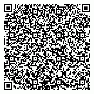 vCard 79415200294