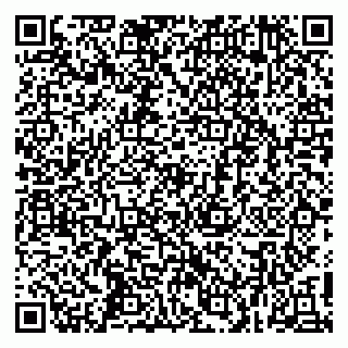 vCard 79415200311
