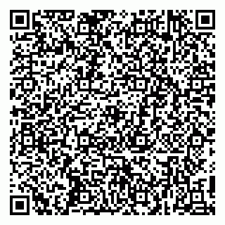 vCard 79415200313