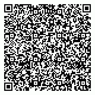 vCard 79415200317