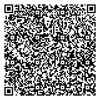 vCard 79415200329