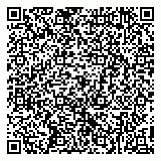 vCard 79415200331