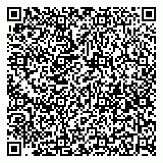 vCard 79415200335