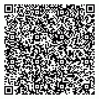 vCard 79415200385
