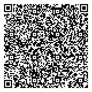 vCard 79417900315