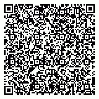 vCard 79417900330
