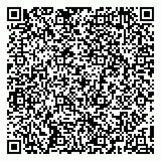 vCard 79417900389