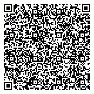vCard 79500500003