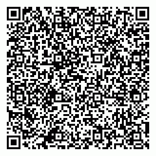vCard 79500500004