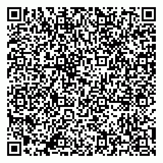 vCard 79500500011