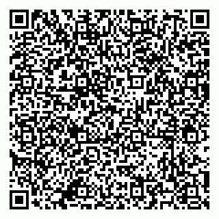 vCard 79500500033