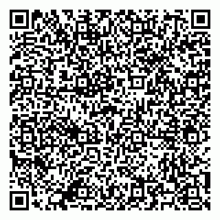 vCard 79500500041
