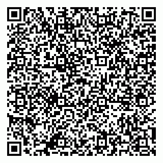 vCard 79500500080