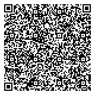 vCard 79500500085
