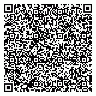 vCard 79500500087