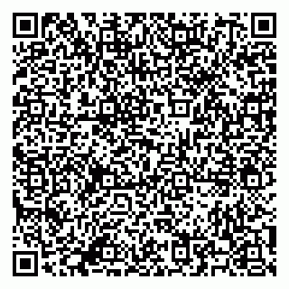 vCard 79500500095
