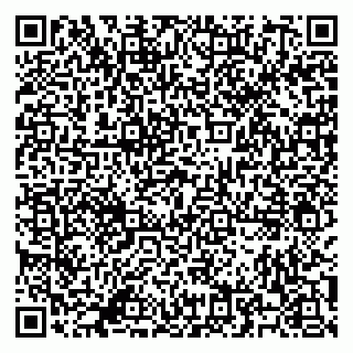 vCard 79500500099