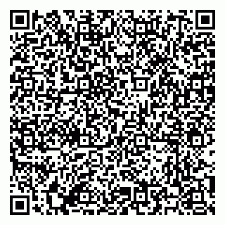 vCard 79500500173
