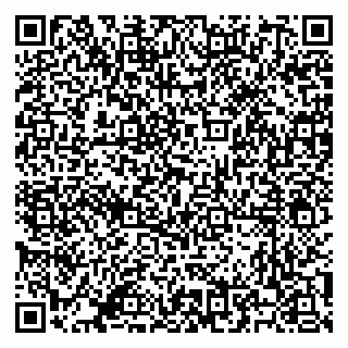 vCard 79500500174