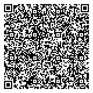 vCard 79500500222