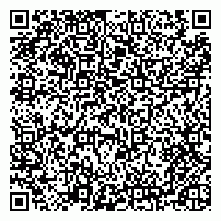 vCard 79500500318