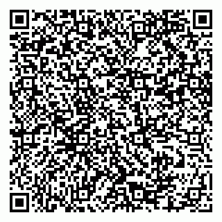 vCard 79502600119