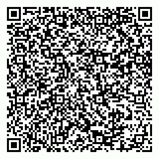vCard 79502600163