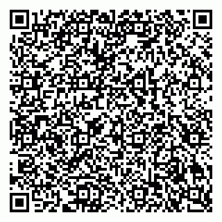 vCard 79502600213