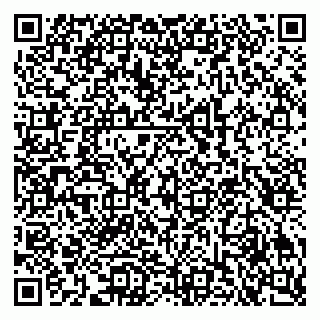 vCard 79502600321