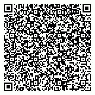 vCard 79503001181