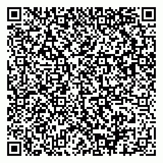 vCard 79503001739