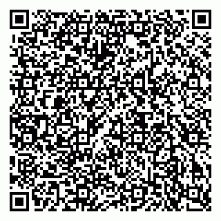 vCard 79503001939