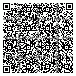vCard 79503001991