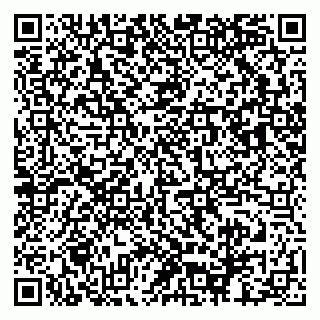 vCard 79503002739