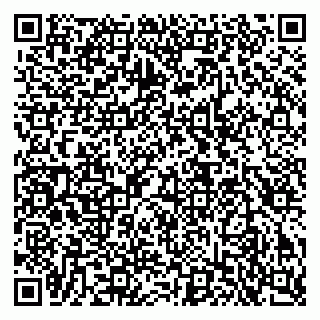 vCard 79503003539