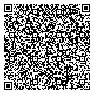 vCard 79503006039